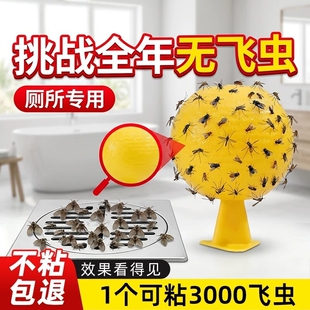 果树柑橘粘虫球厨房诱蝇球果实蝇大小实蝇菜园诱粘球果蝇球诱捕器