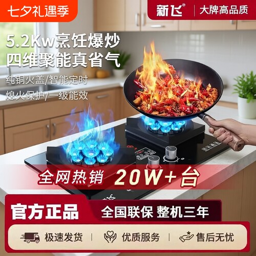 新飞煤气灶双灶头家用大火力天然气燃气灶台式嵌入式液化气省气