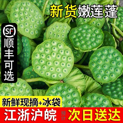 【现摘】头茬新鲜水果莲蓬米