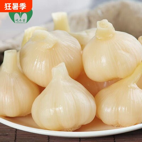 山东糖蒜泡蒜500g新鲜泡蒜