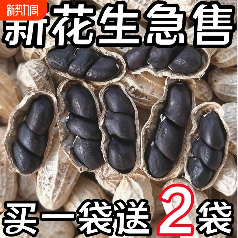 新货富硒黑花生云南带壳花生黑衣生花生新鲜老品种好吃健康优选