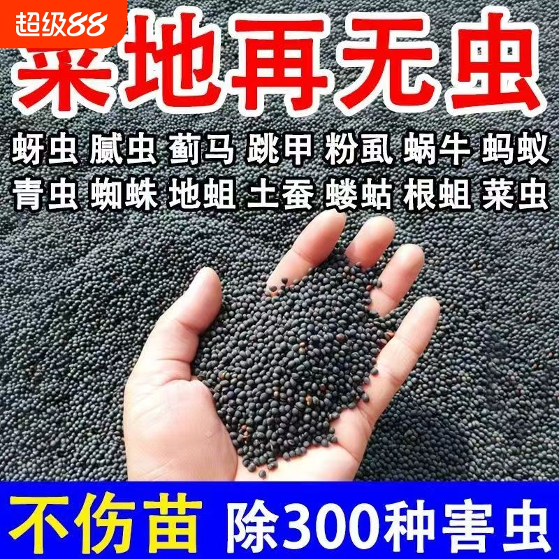 撒施型防虫药清菌颗粒剂土壤除虫专用种果蔬菜地驱虫杀虫专用肥料