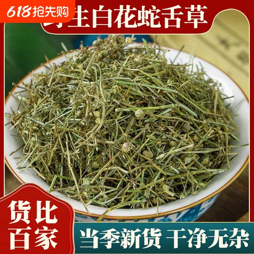野生白花蛇舌草中药材正品官方旗舰店新货白花蛇舌草半枝莲泡茶水