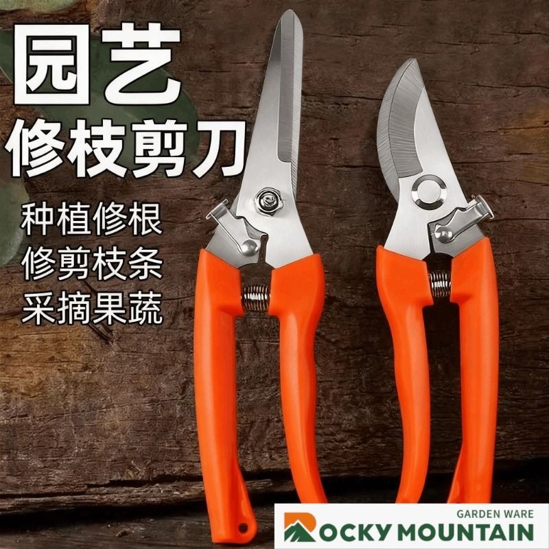修枝剪粗枝剪树枝剪绿植强力园艺剪修剪树枝果树园林工具园艺剪子