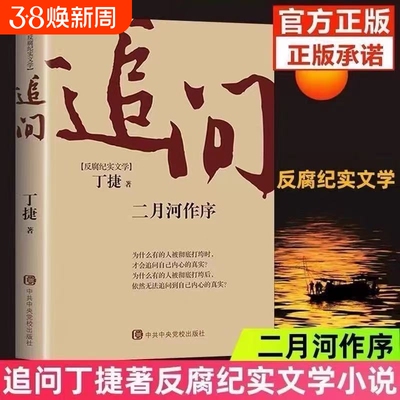 正版现货 追问 丁捷反腐败官场小说官场小说反腐纪实文学反腐警示录 国家行动 同名电视剧张译主演原著小说