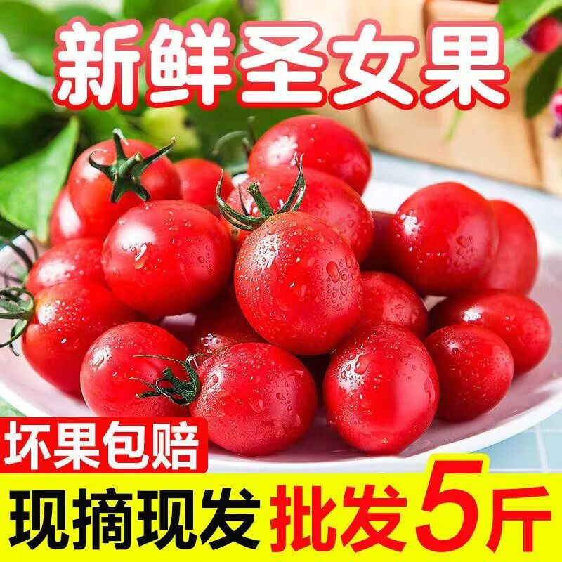 净重5斤现摘圣女果小番茄西红柿新鲜水果非千禧整箱新鲜蔬菜水果