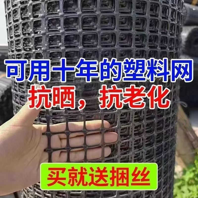 养鸡塑料网格围栏网拦鸡网家用玉米养殖网鱼塘防护网围栏栅栏户外