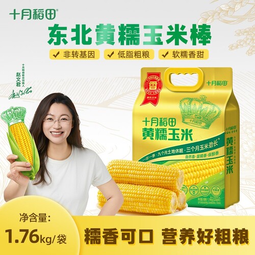 十月稻田黄糯玉米粗粮低脂