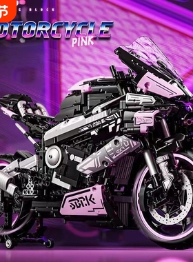 兼容乐高宝马M1000RR摩托车积木机械组模型成人男孩拼装玩具赛车