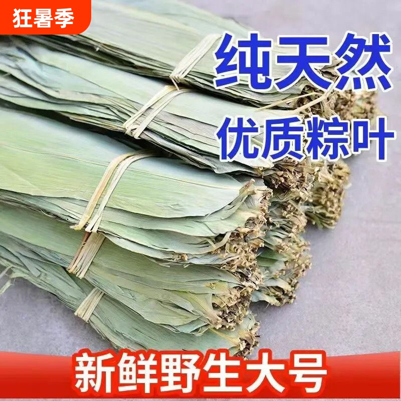 粽子叶粽叶干大号棕叶新鲜包粽子竹叶子干粽叶商用箬叶材料