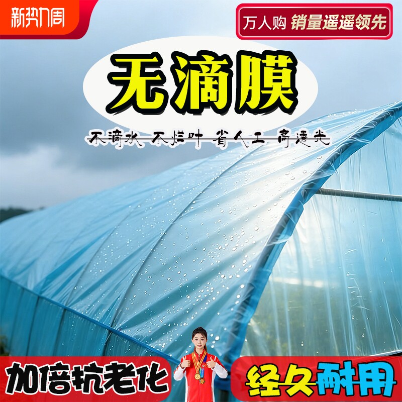 大棚塑料膜蓝色无滴膜加厚大棚膜农膜抗老化透明加厚蔬菜种植专用