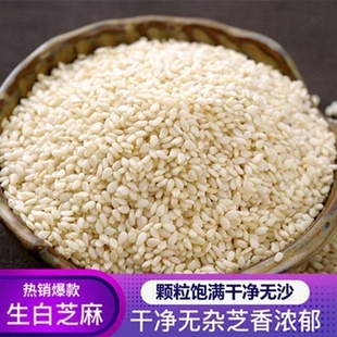 生黑芝麻2025年新货农家黑芝麻粒新鲜干净饱满无沙无染色商用批发