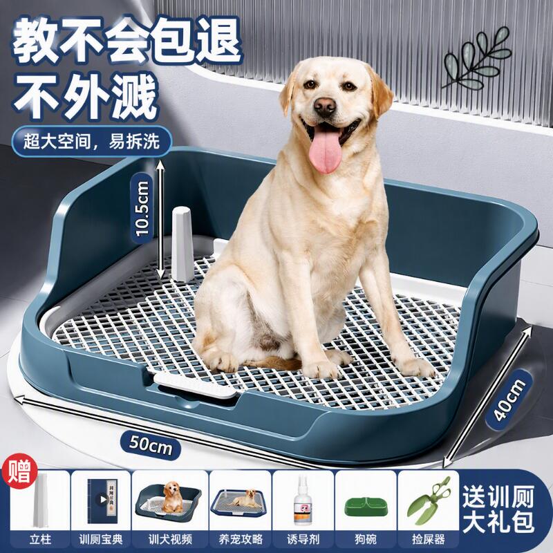【宠物店力荐】狗狗定点排便神器