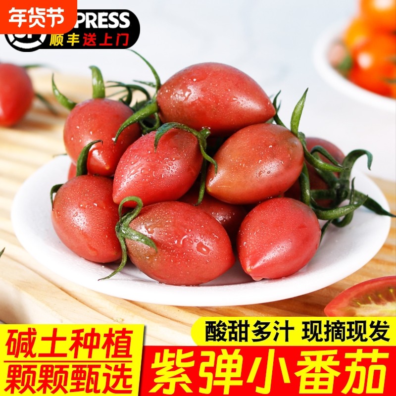 福建紫弹头小番茄圣女果儿童孕妇新鲜时令水果非千禧现摘顺丰包邮,水产肉类/新鲜蔬果/熟食,番茄,淘宝优惠券,粉丝福利购,淘宝优惠卷
