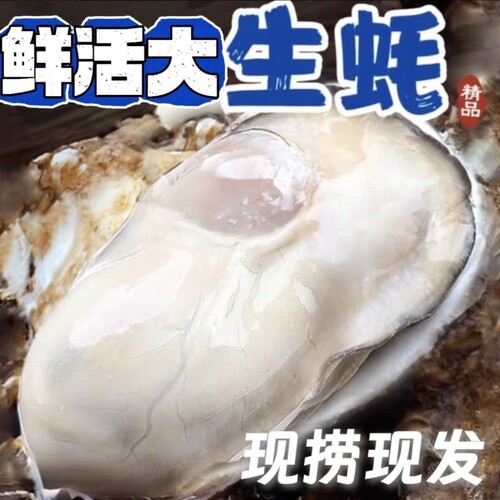 大连生蚝非乳山生蚝鲜活新鲜特大带箱海蛎子海鲜牡蛎水产