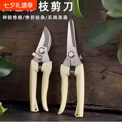 园艺师推荐树枝花卉不锈钢修枝剪