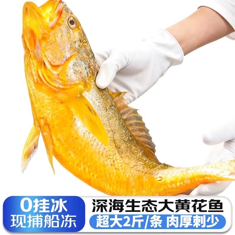 黄花鱼新鲜冷冻大黄鱼鲜活深海小黄鱼半野生年货海鲜礼盒2斤一条