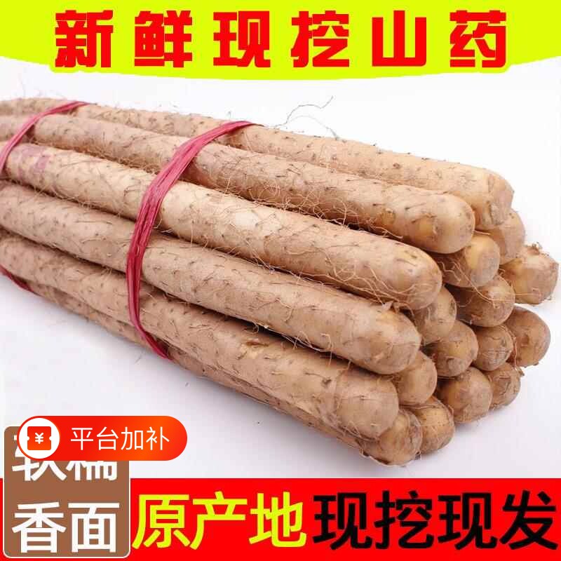 正宗新鲜淮山药3/5斤粉糯小白嘴铁杆山药当季蔬菜整箱包邮