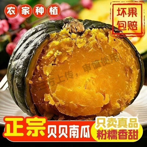贝贝板栗味老南瓜当季