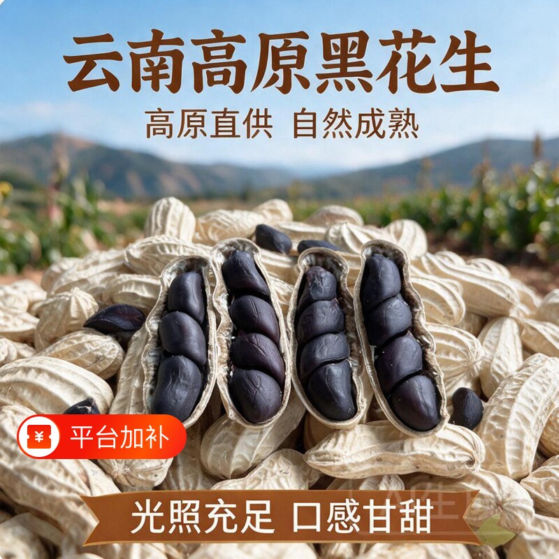 云南黑花生带壳黑皮花生农家自晒花生新货生吃紫皮花生黑花生富硒