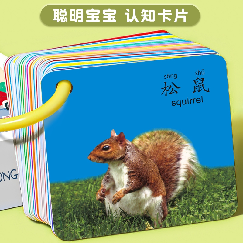 早教认知卡片宝宝90页大全儿童玩具看图识字卡通动物认图水果蔬菜