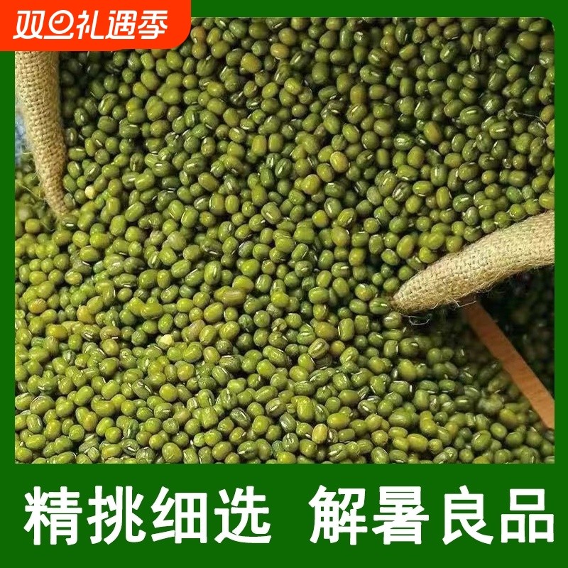 东北黑龙江绿豆农家新货新鲜可发芽大颗粒优质绿豆粥绿豆糕原料