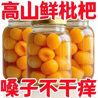 新鲜枇杷罐头无核琵琶大果商用