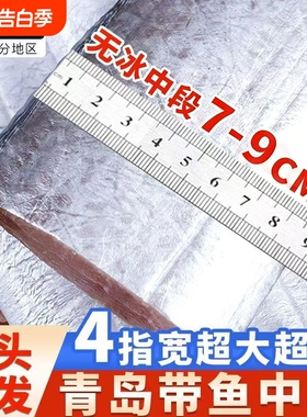 带鱼新鲜冷冻刀鱼段中段无冰特级东海小眼海鱼整箱10鲜活水产精品