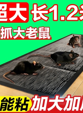 老鼠贴强力粘鼠板家用一窝端抓粘大老鼠胶正品灭鼠魔毯驱捕鼠神器