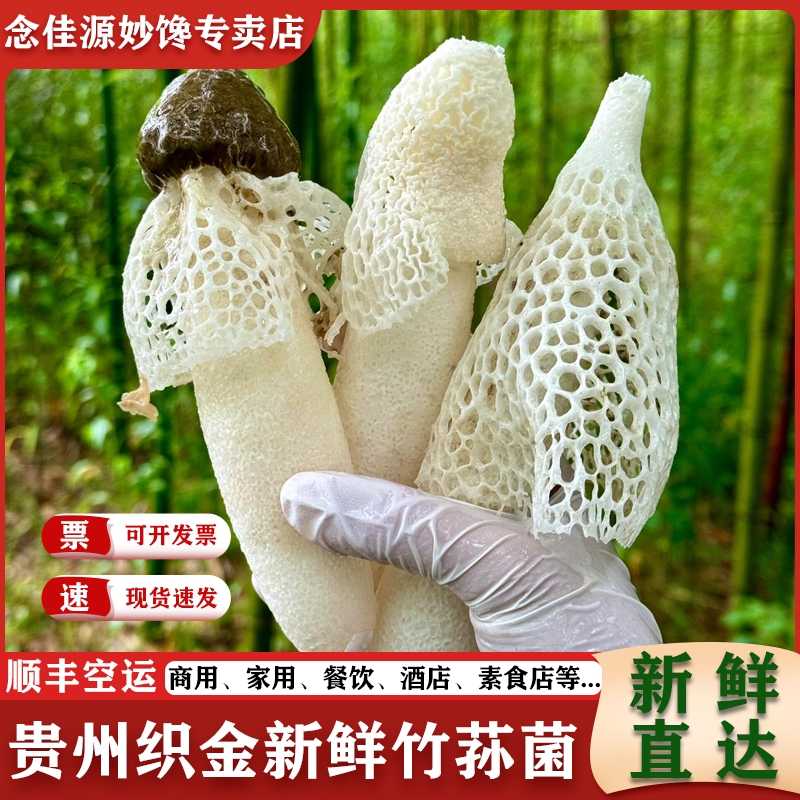 正宗贵州织金红拖竹荪菌新鲜蘑菇
