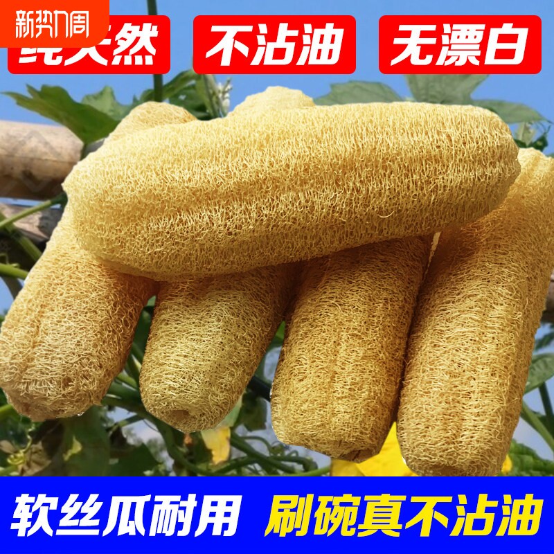 纯天然长条丝瓜络洗碗丝洗澡洗碗不沾l油刷锅瓜瓤巾丝瓜筋老发泡