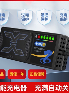 电动车充电器电瓶48V12AH60V20A72V适用于超威天能三轮铅酸石墨烯