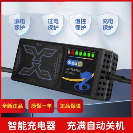 电动车充电器电瓶48V12AH60V20A72V适用于超威天能三轮铅酸石墨烯