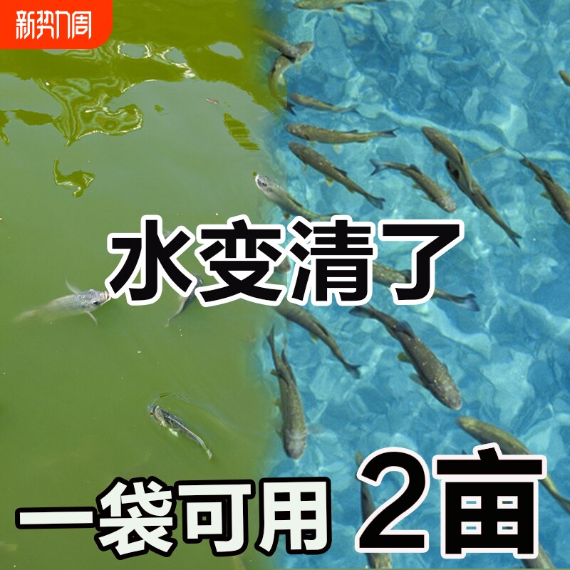 鱼塘除铁锈剂除绿藻水除藻浊清水质净化剂虾消毒杀菌S池塘养殖