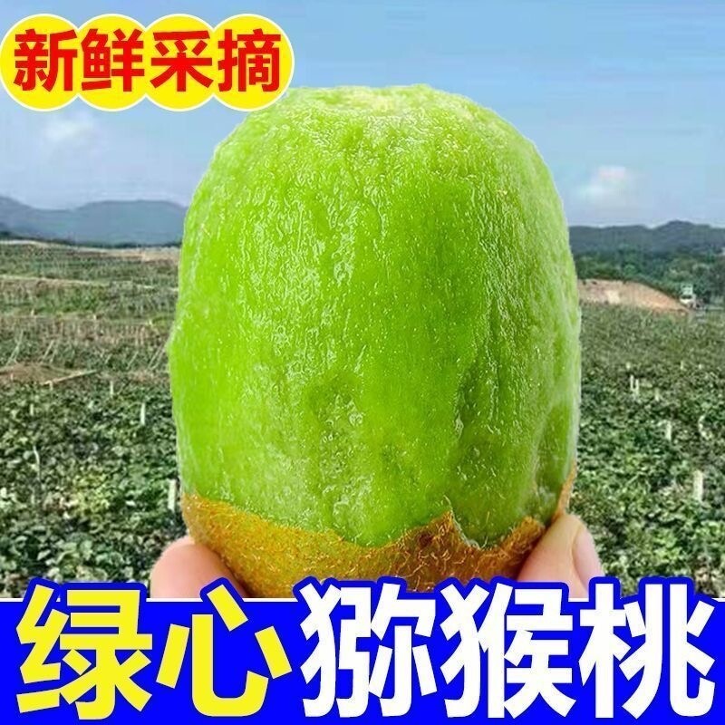 湖南湘西正宗绿心猕猴桃应当季水果新鲜奇异果大果现摘现发酸甜