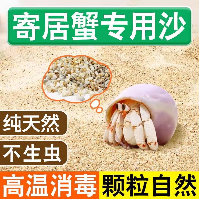 沙蟹专用沙天然免洗海沙螃蟹乌龟寄居蟹鱼缸造景沙宠物底砂相守蟹