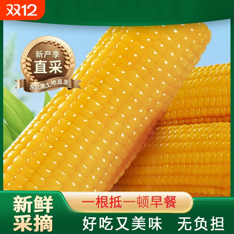东北甜糯玉米棒新鲜黏玉米非转基因鲜食玉米棒真空黄糯早餐香甜