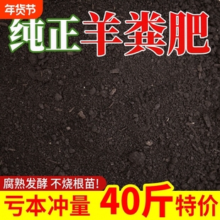 羊粪发酵有机肥内蒙古腐熟羊粪肥批发有机肥料蔬菜专用羊屎粪蛋