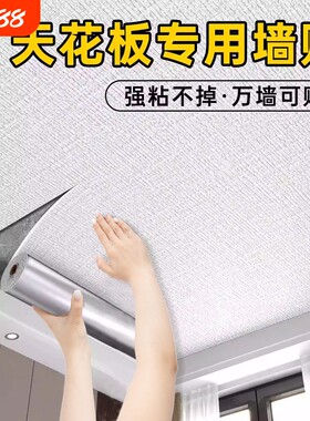 天花板贴纸屋顶吊顶墙面遮丑壁纸