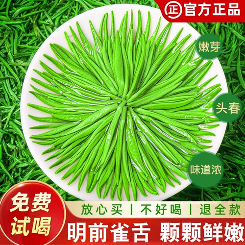 雀舌茶叶2026新茶明前特级绿茶贵州湄潭毛尖春茶嫩芽500g散装