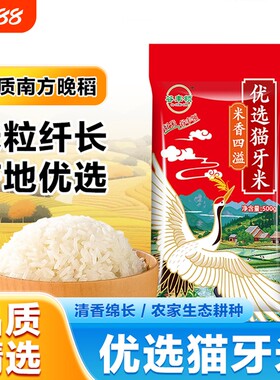 当季新米猫牙香米大米长粒香大米煲仔饭蛋炒饭米谷丰鄱阳湖月牙