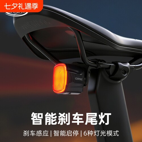 CXWXC自行车尾灯智能感应刹车灯山地车公路车夜骑灯骑行装备配件