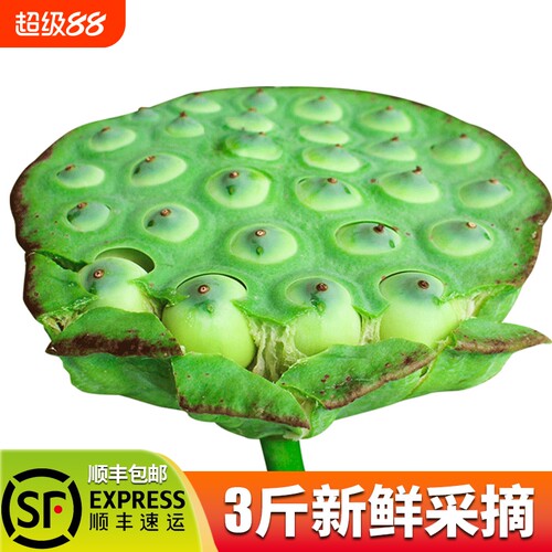 果心榴洪湖莲蓬鲜嫩吃零食