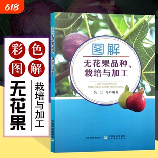 图解无花果品种、栽培与加工 吴江 无花果栽培种植技术书籍 无花果果树修剪整形工具书无花果病虫害防治技术果园施肥管理