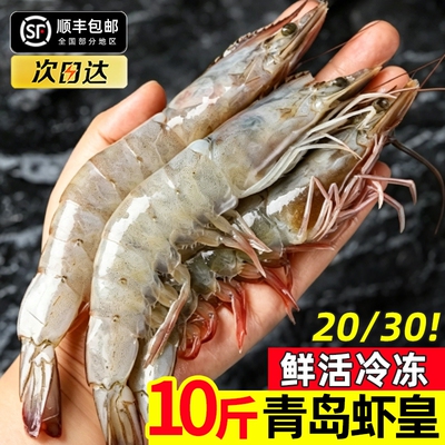 青岛大虾鲜活冷冻速冻冰鲜基围虾
