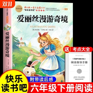 旅行正版 快乐读书吧骑鹅记鲁滨逊漂流记6阅读书籍汤姆索亚历险记漫游仙境书目必读经典 课外书完整版 爱丽丝漫游奇境记六年级下册