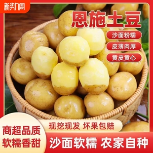 正宗恩施小土豆现挖湖北新鲜黄心土豆当季 蔬菜整箱迷你马铃薯洋芋