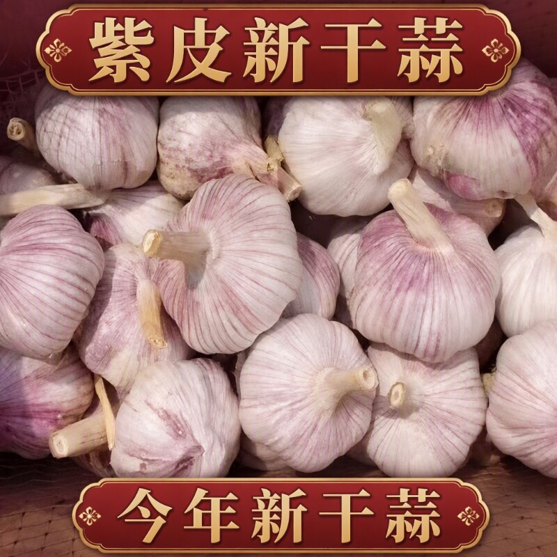 2026新干蒜金乡大蒜批发特大新干蒜蒜头紫皮大蒜5斤批发价旗舰店