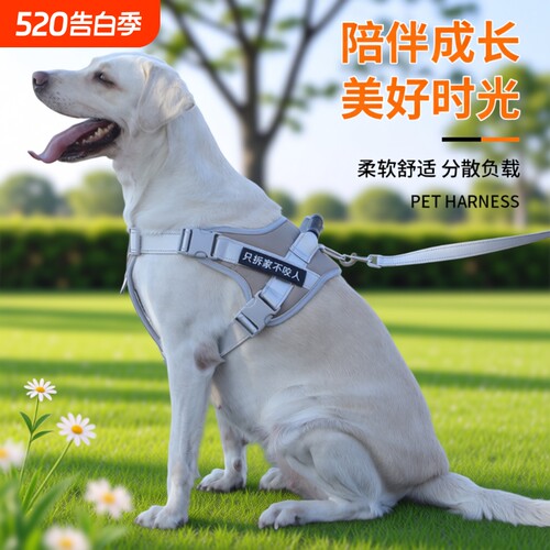宠物胸背带防爆冲狗狗牵引绳