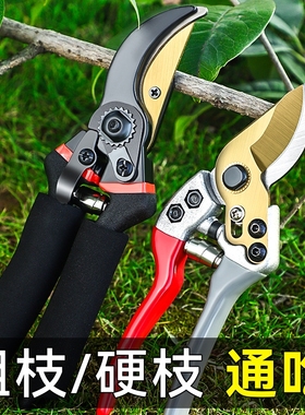 剪枝剪刀剪树枝专用剪子强力花艺果树修剪家用园林粗枝剪修枝盆景